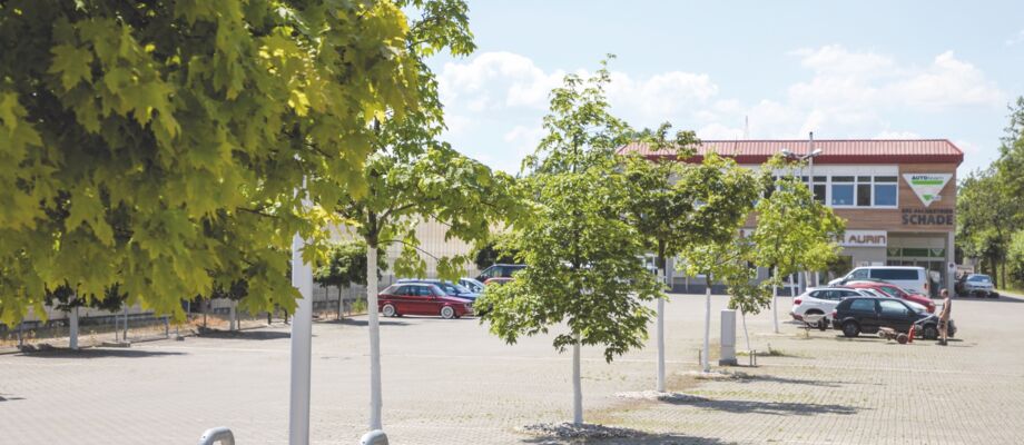 Parkplätze – soweit das Auge reicht: Ein echter Glücksgriff für die Umsetzung der Geschäftsideen von Torsten Schade.